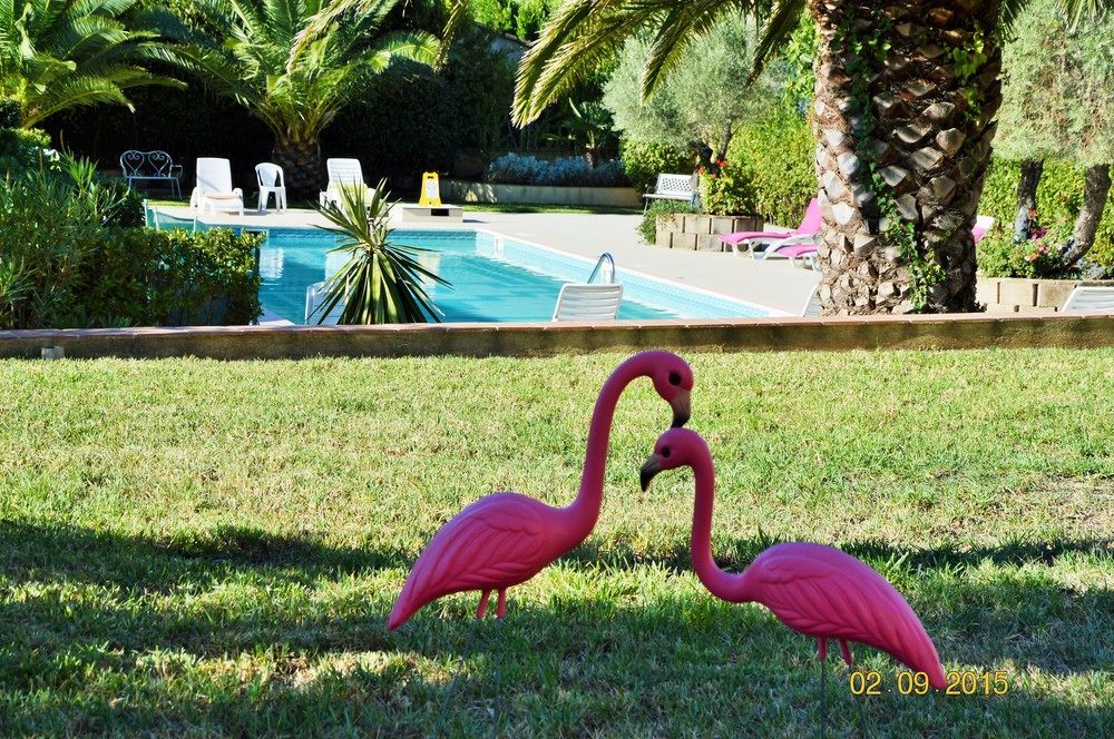 Villa Les 4 Saisons Saint Tropez 외부 사진